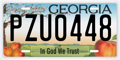 GA license plate PZU0448