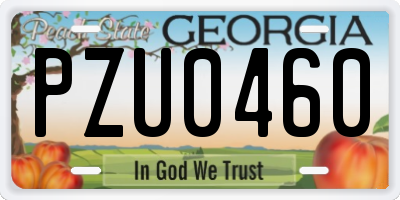 GA license plate PZU0460