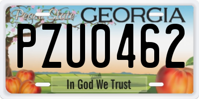 GA license plate PZU0462