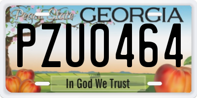 GA license plate PZU0464