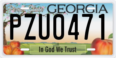 GA license plate PZU0471