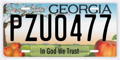 GA license plate PZU0477