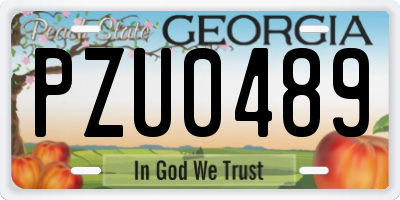 GA license plate PZU0489