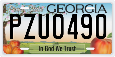 GA license plate PZU0490