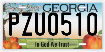 GA license plate PZU0510