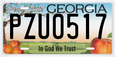GA license plate PZU0517