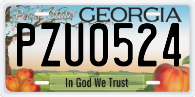 GA license plate PZU0524