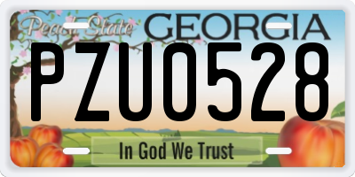 GA license plate PZU0528