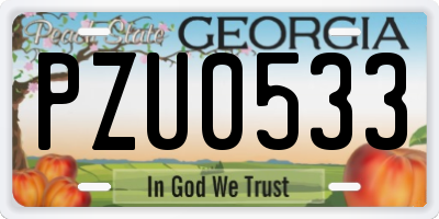 GA license plate PZU0533