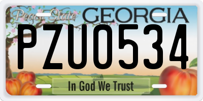GA license plate PZU0534