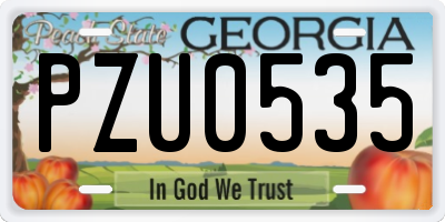 GA license plate PZU0535