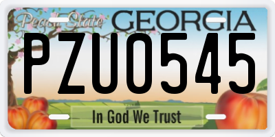 GA license plate PZU0545