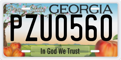 GA license plate PZU0560
