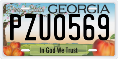 GA license plate PZU0569