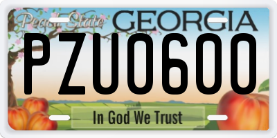 GA license plate PZU0600