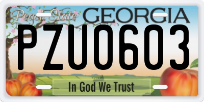 GA license plate PZU0603