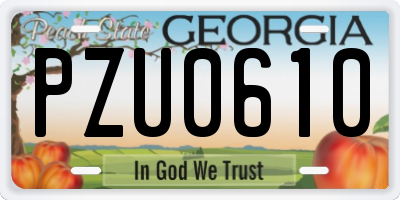 GA license plate PZU0610