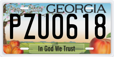 GA license plate PZU0618