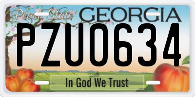 GA license plate PZU0634