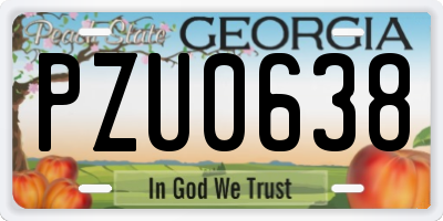 GA license plate PZU0638