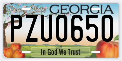 GA license plate PZU0650
