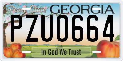GA license plate PZU0664