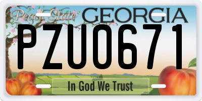 GA license plate PZU0671