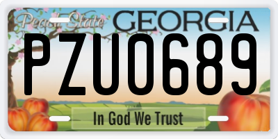 GA license plate PZU0689