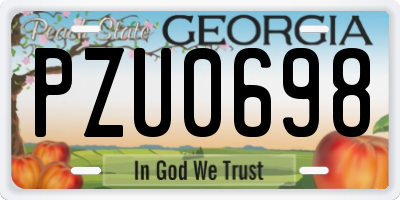 GA license plate PZU0698