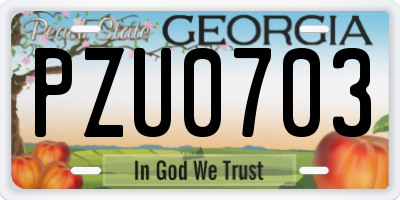 GA license plate PZU0703