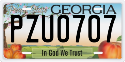 GA license plate PZU0707