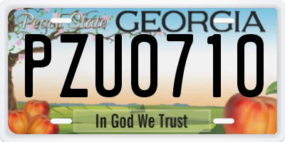 GA license plate PZU0710
