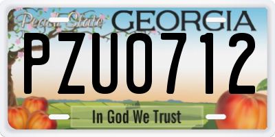 GA license plate PZU0712