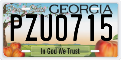 GA license plate PZU0715