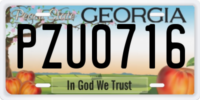 GA license plate PZU0716