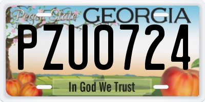 GA license plate PZU0724