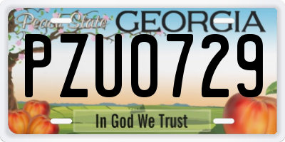 GA license plate PZU0729