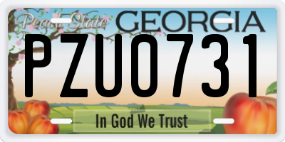 GA license plate PZU0731