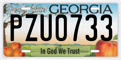 GA license plate PZU0733