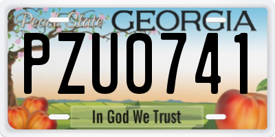 GA license plate PZU0741