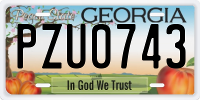 GA license plate PZU0743