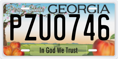 GA license plate PZU0746