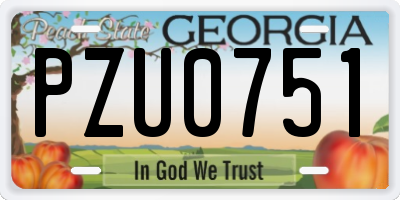 GA license plate PZU0751