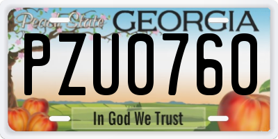 GA license plate PZU0760