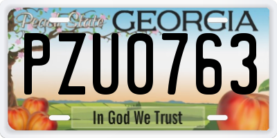 GA license plate PZU0763