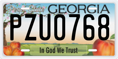 GA license plate PZU0768