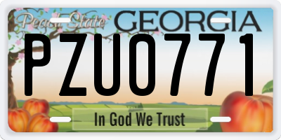 GA license plate PZU0771