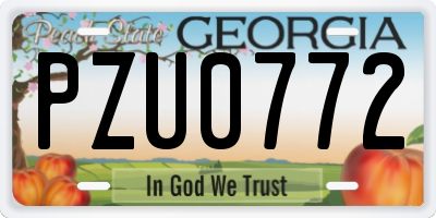 GA license plate PZU0772