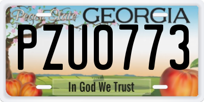 GA license plate PZU0773