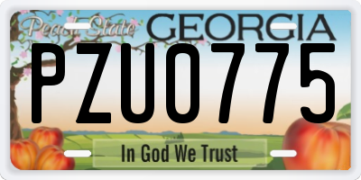 GA license plate PZU0775